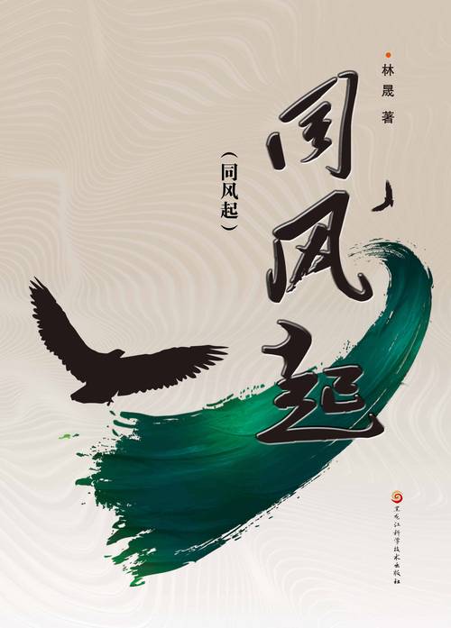 风起中文网