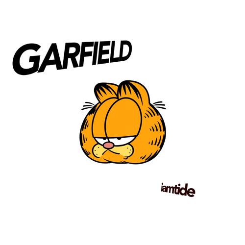 加菲猫短视频