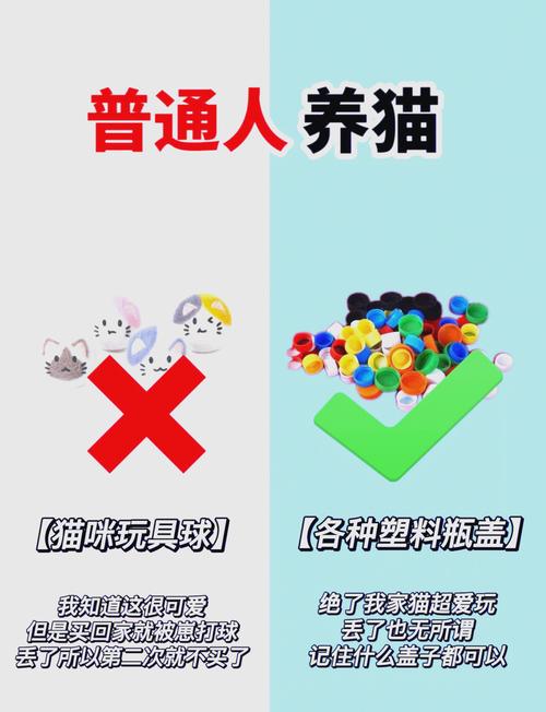 玖玖猫最新版