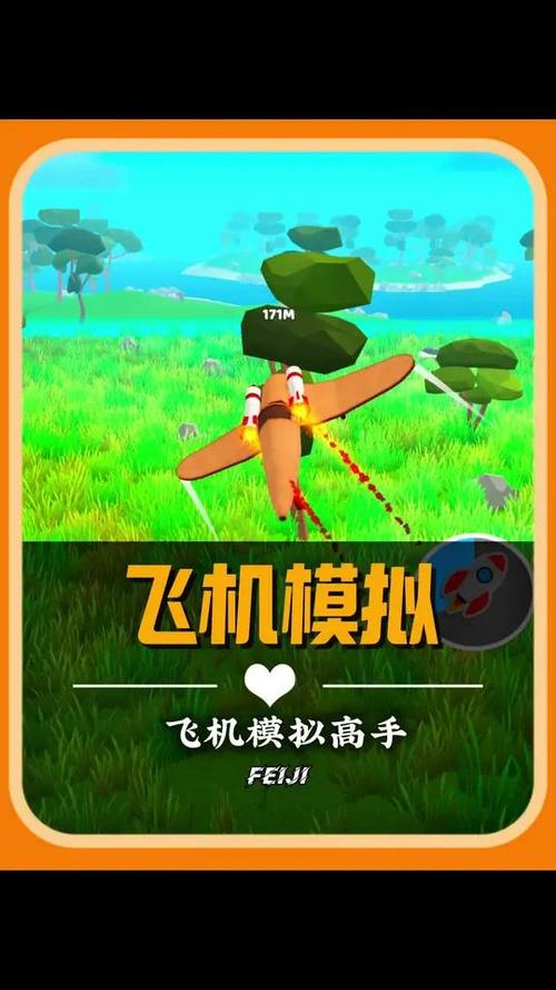 飞机模拟高手破解版内置菜单