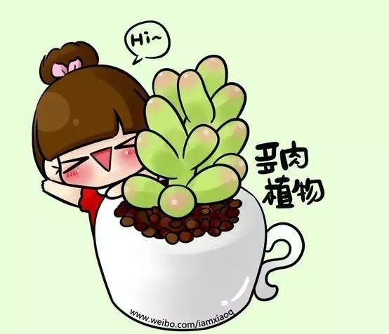 多肉漫画app