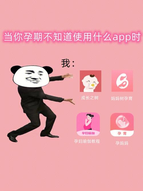怀孕大作战1.0 安卓版