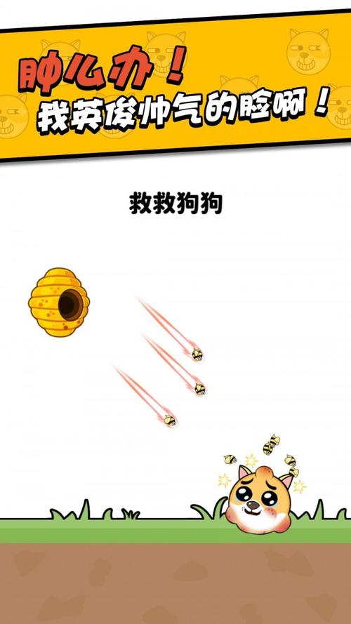 救救狗狗红包版