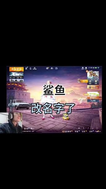 鲨鱼top和平精英画质