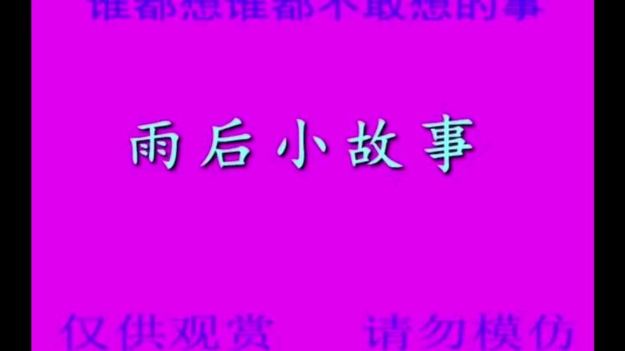 雨后的小故事