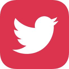 喜鹊网app
