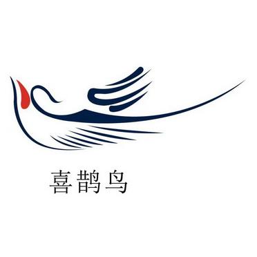喜鹊小说