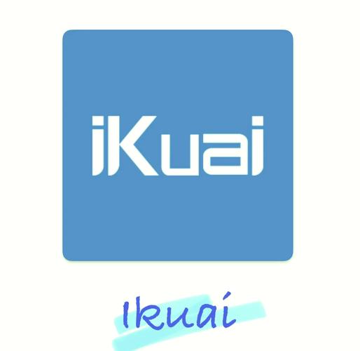 ikun直装v5修复版v2.1