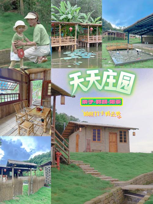 天天庄园最新版