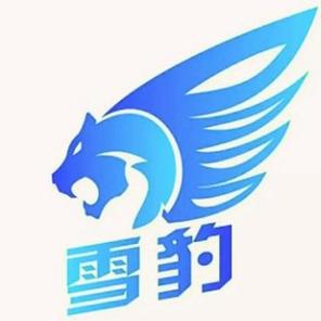 雪豹画质修改器