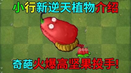 植物大战僵尸红色坚果修改器无删减福利版图标