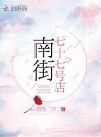 南街小说