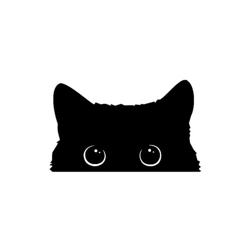 黑猫漫画