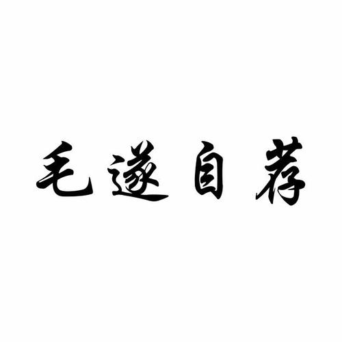 毛遂自荐下载
