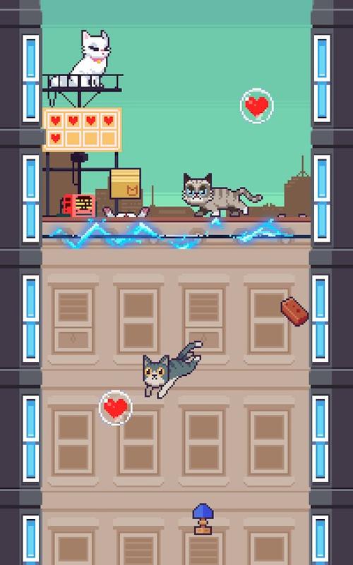 猫咪跳一跳