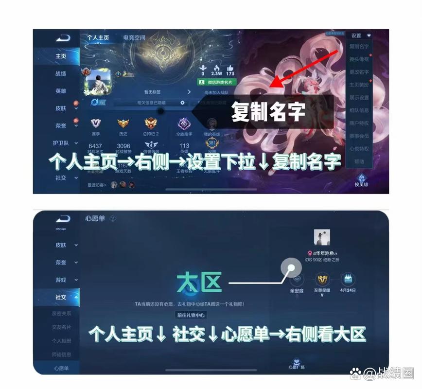 王者荣耀隐藏战绩查询2022内购版