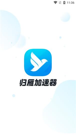 归雁加速器v2.6.1.1228