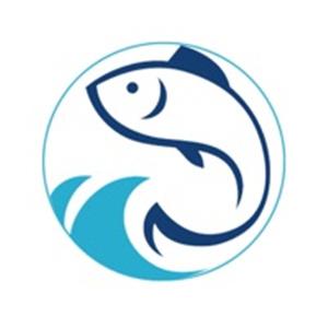 小鱼平台app