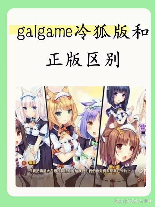 网络聊天女冷狐游戏汉化版截图