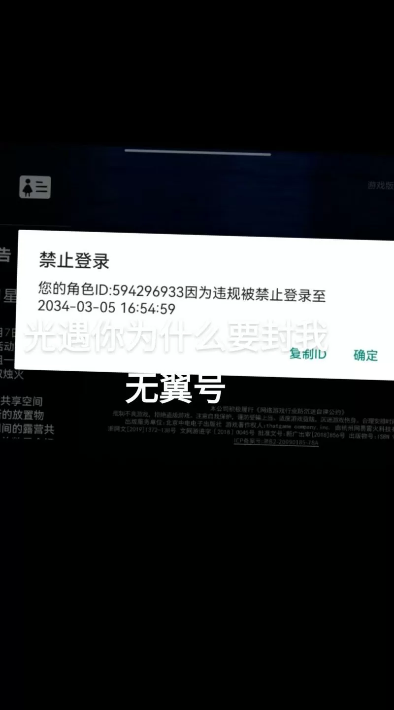 光遇屏蔽后对方能看到自己上线吗