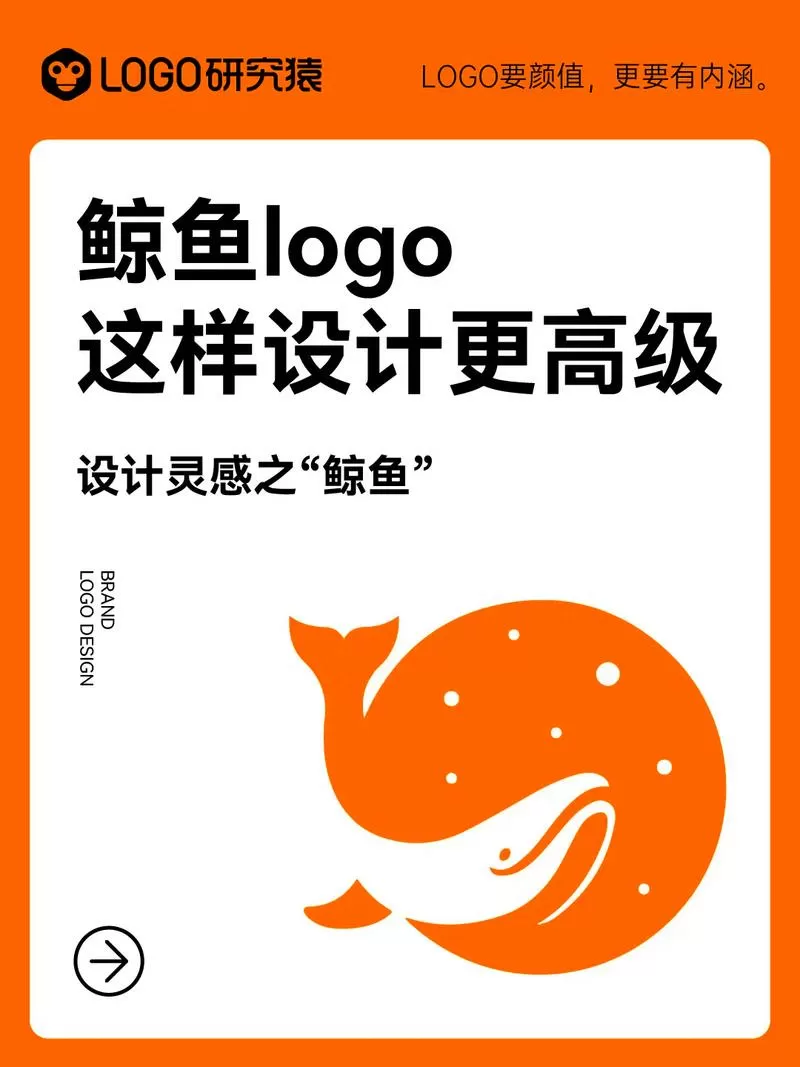 鲸鱼视频免费版免费