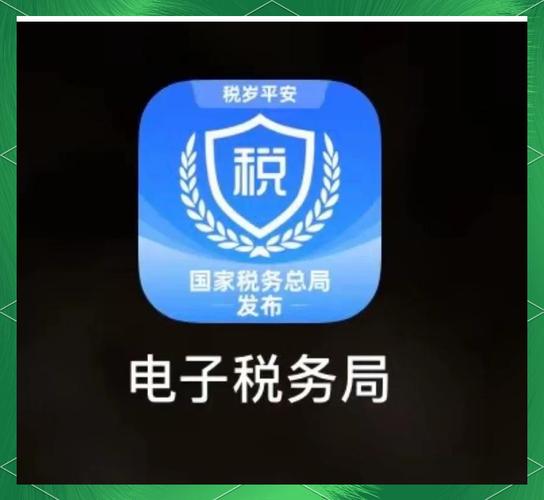怎样在电脑上下载国家税务局软件