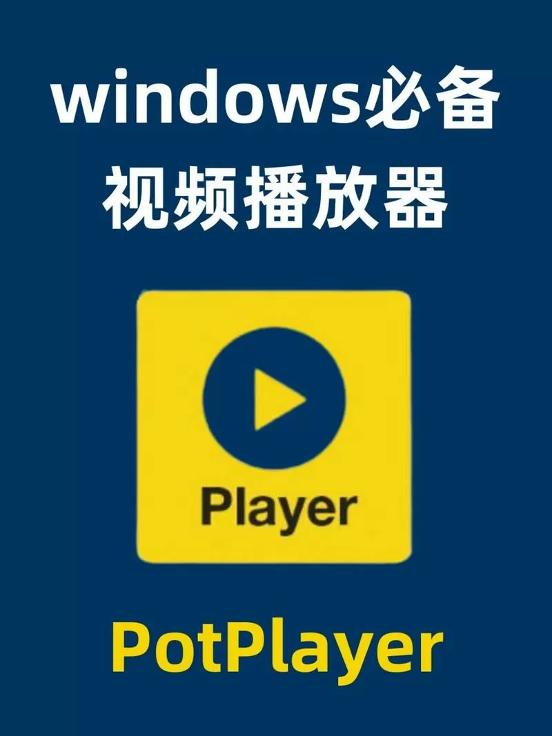 potplayer播放器Tv版