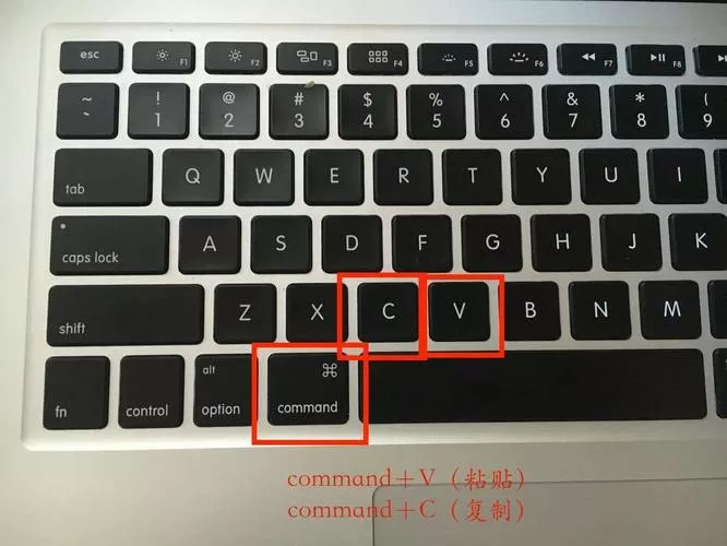 ipad键盘如何复制粘贴