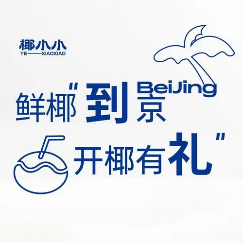椰子助手官方下载