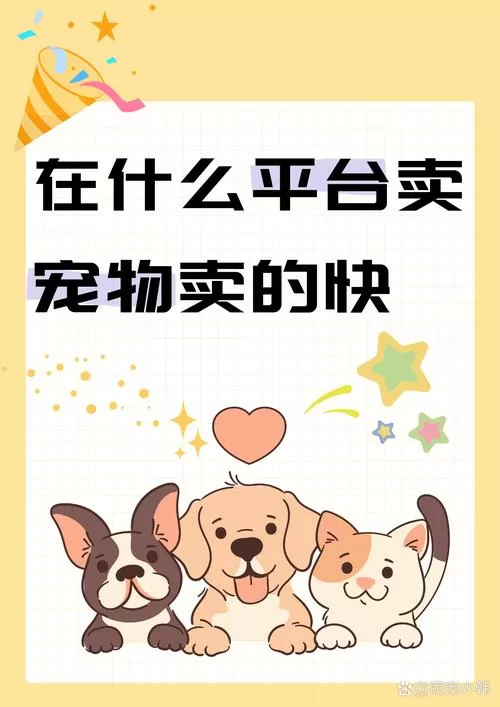网上卖狗一年赚多少