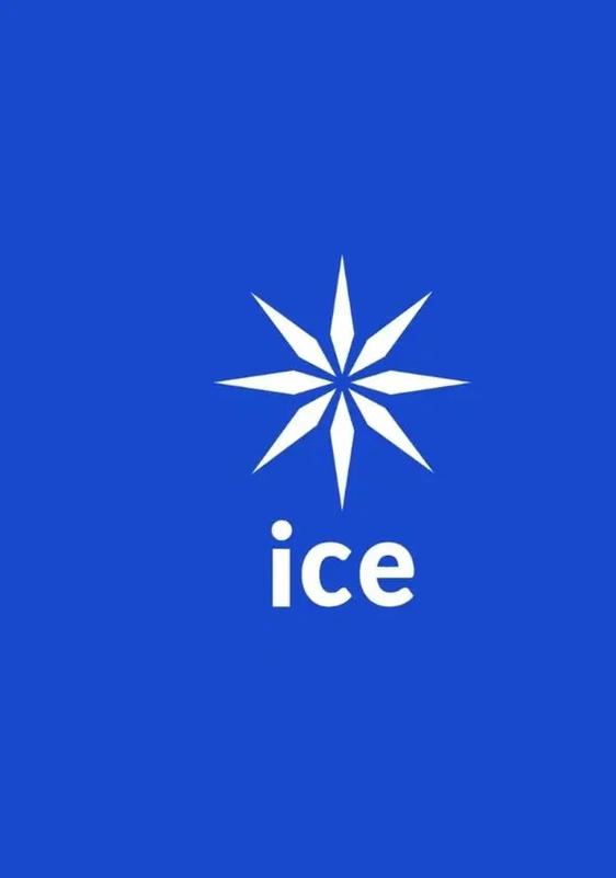 icey百科