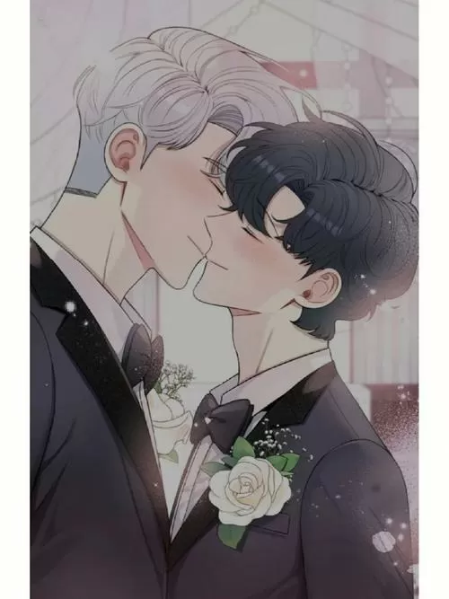 冬天之后的樱花漫画免费下拉