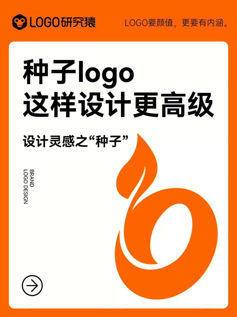 种子的颜色