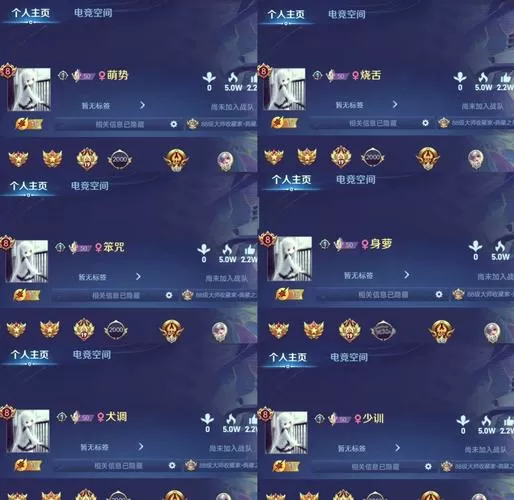 王者违规昵称id大全复制