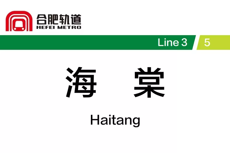 海棠8站