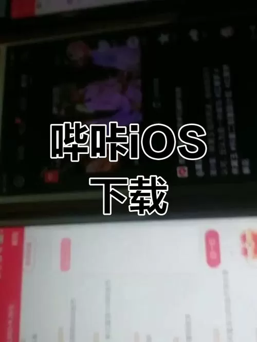 ios下哔咔教程
