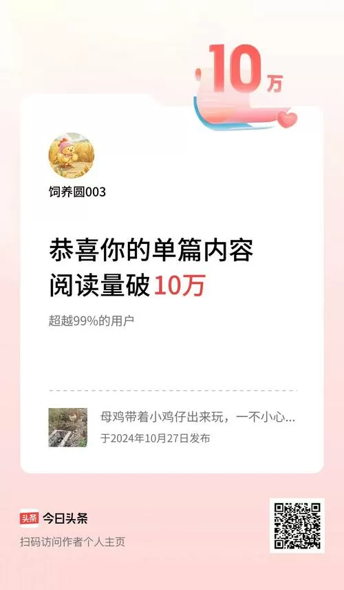 公众号10万阅读量收入