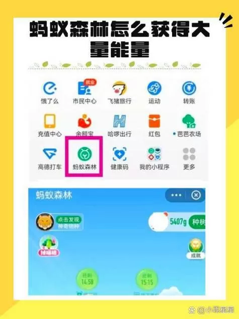 蚂蚁森林900多能量怎么来