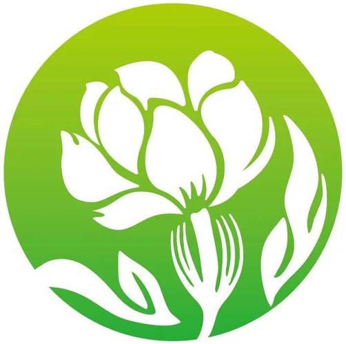 风车茉莉用什么土最好