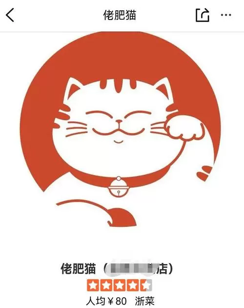 肥猫加速