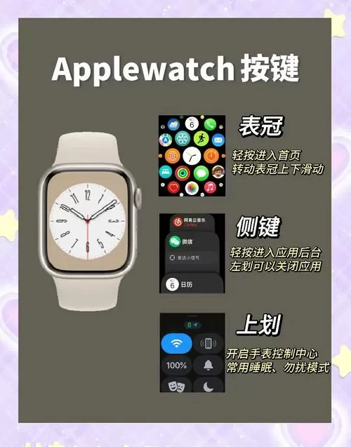 苹果手表如何备份数据图标