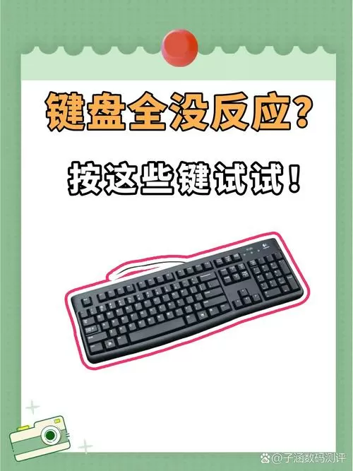 为何键盘突然打不出来