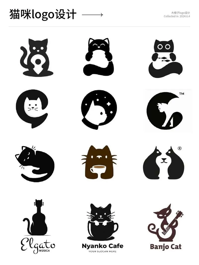 猫咪视频合集