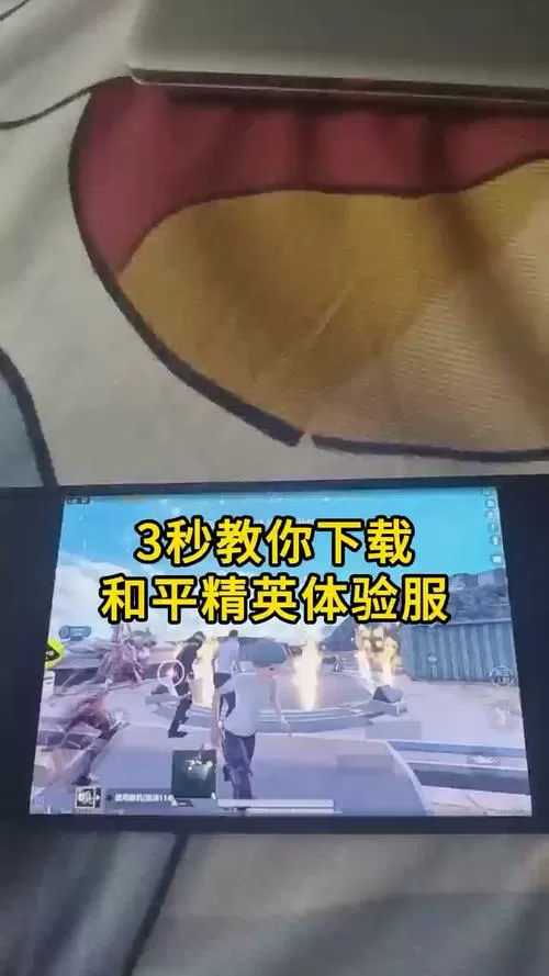 和平精英(体验服)下载安装手机版官网