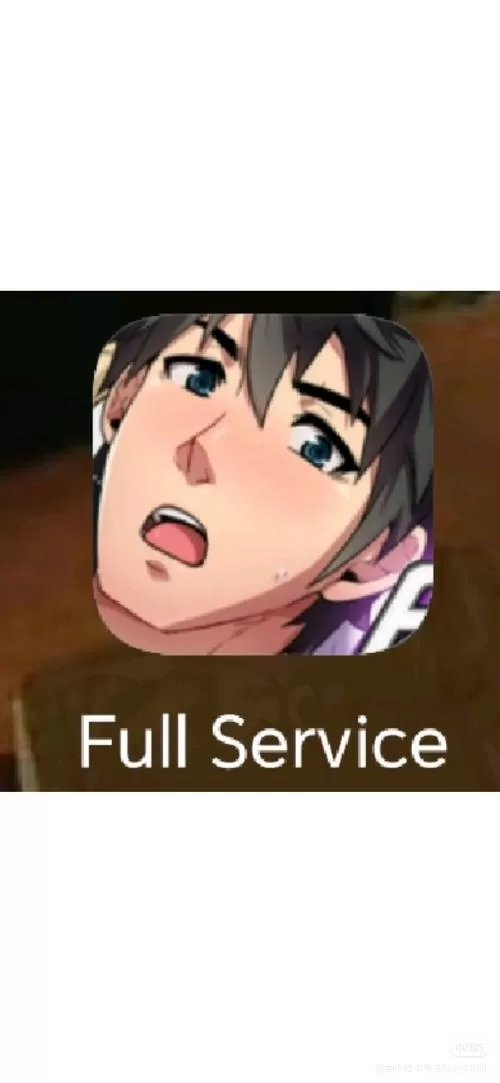 fullservice正式版安卓汉化