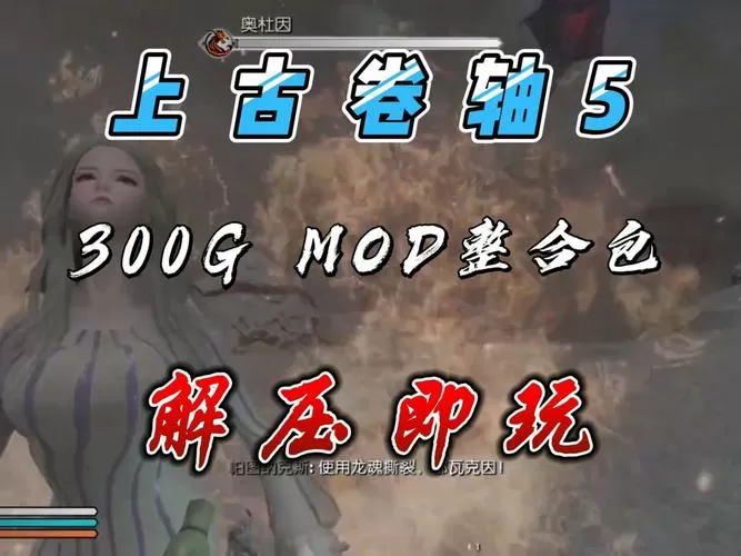 上古卷轴5无限读档mod