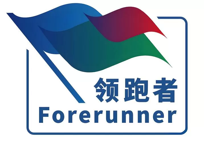 领跑者与追随者