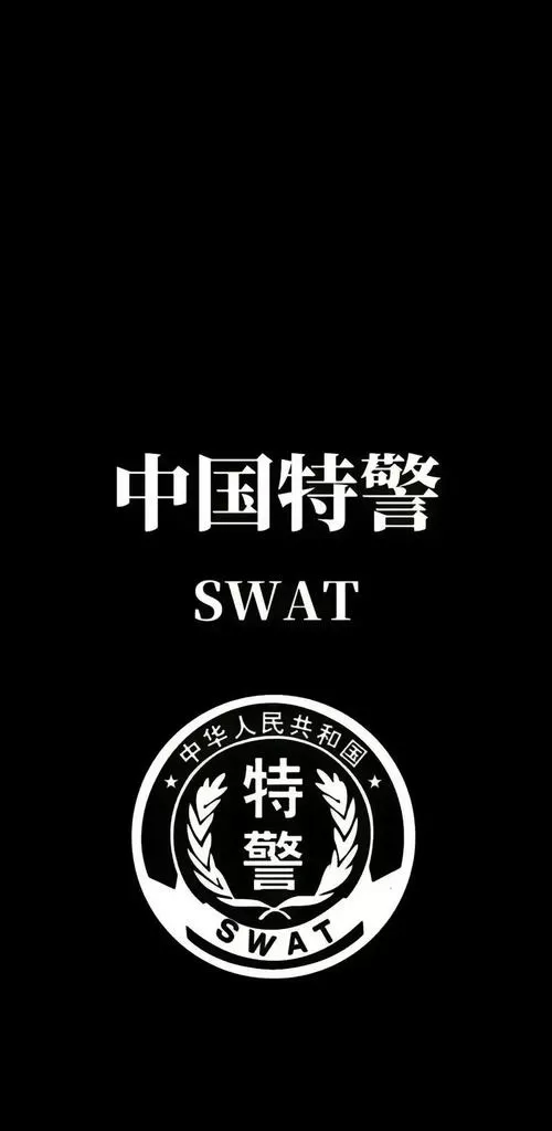 中国警察特警模组截图