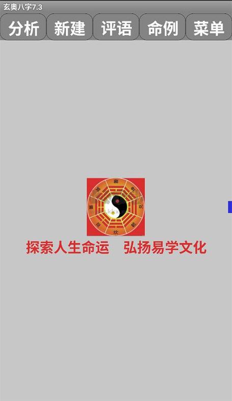 玄奥八字7.3下载