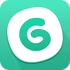 gg,助手